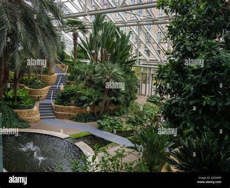 Tropical gardens under glass, part of the Bannatyne Health Club and Spa, Milton Keynes, UK Stock ...