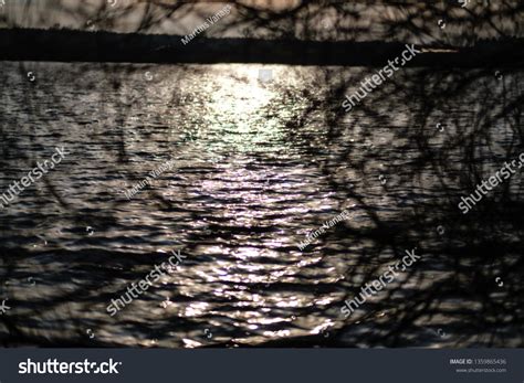 Naked Tree Branches Sunset Colors Against Stock Photo Shutterstock