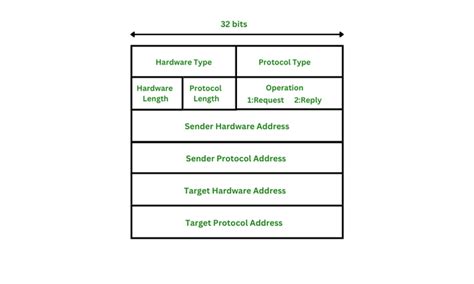 ARP Protocol Packet Format - GeeksforGeeks