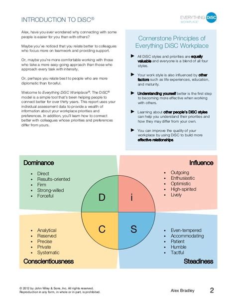 Everything Disc Workplace Profile Sample Report