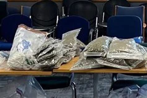 Gardai Arrest Three Men After Major Drug And Vehicle Seizure In North