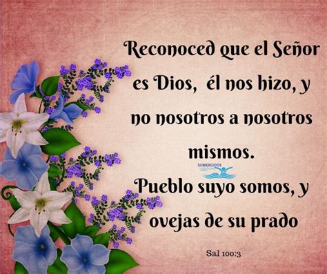 Sumergidos En La Palabra De Dios Salmos En Salmos