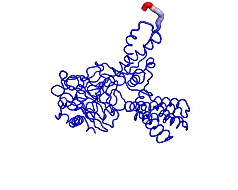 Covid 3d Non Structural Protein 4 Nsp4