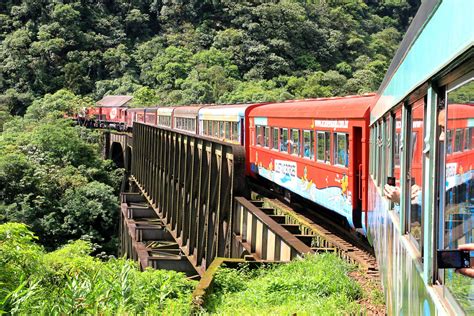 Trem Da Serra Do Mar Paranaense Segue Viagem