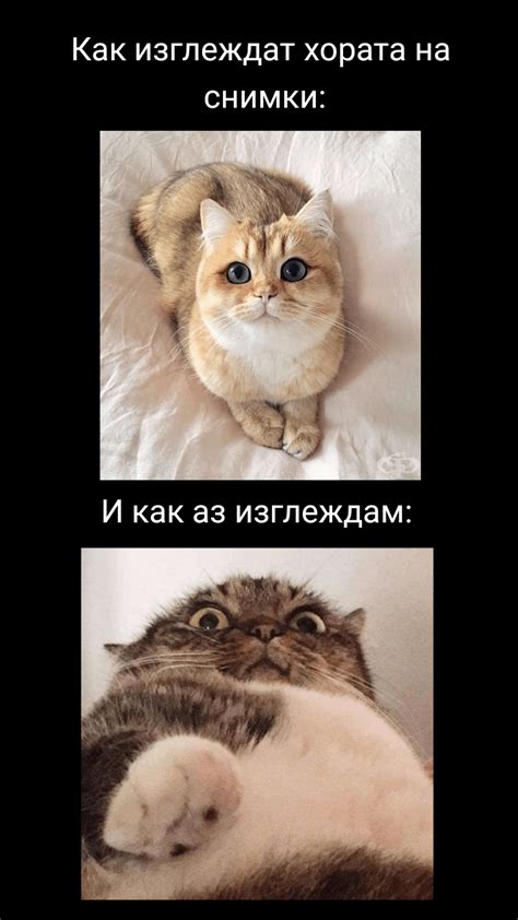 Мемето е мое. : r/Valhala