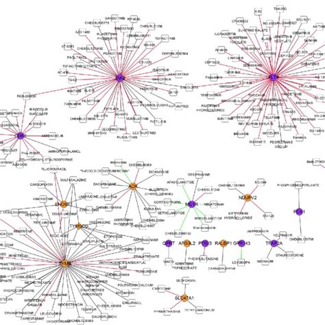 The Network Of A Drug Gene Interaction The Drug Prediction Databases