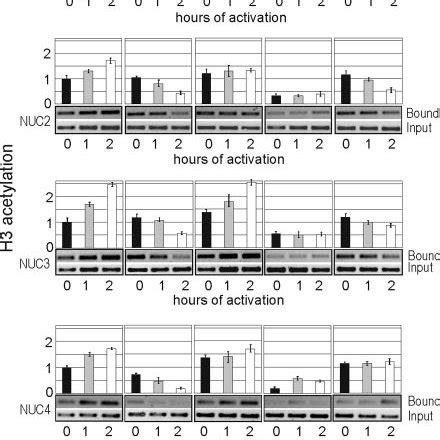 Histone H Acetylation Level At The Suc Gene In Wt And Mutant Strains