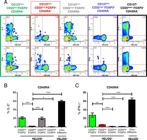 Cells With Treg Specific Foxp Demethylation But Low Cd Are Prevalent