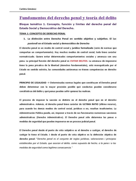 Fundamentos Del Derecho Penal Pdf Derecho Penal Castigos