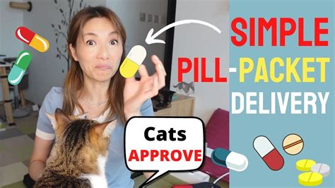 How To Feed Cat Multiple Pills In ONE Go YouTube