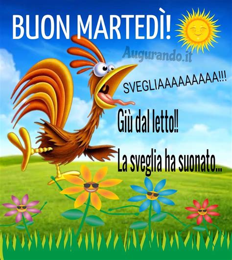 Buon Martedì con fantastiche immagini entra