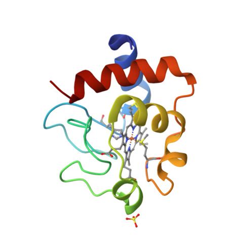 Rcsb Pdb Ty Crystal Structure Of K A Variant Of Human Cytochrome C