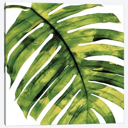 Green Palm II Canvas Art by Melonie Miller | iCanvas