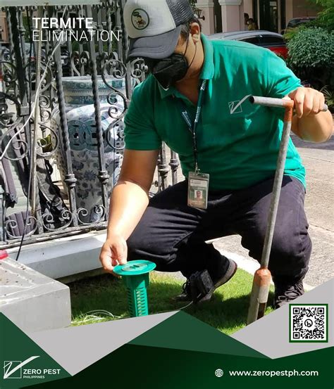 Zero - The damages of termite infestations are irreversible. Yet, it is