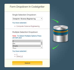 Codeigniter Form Dropdown Insert And Read Using Database FormGet