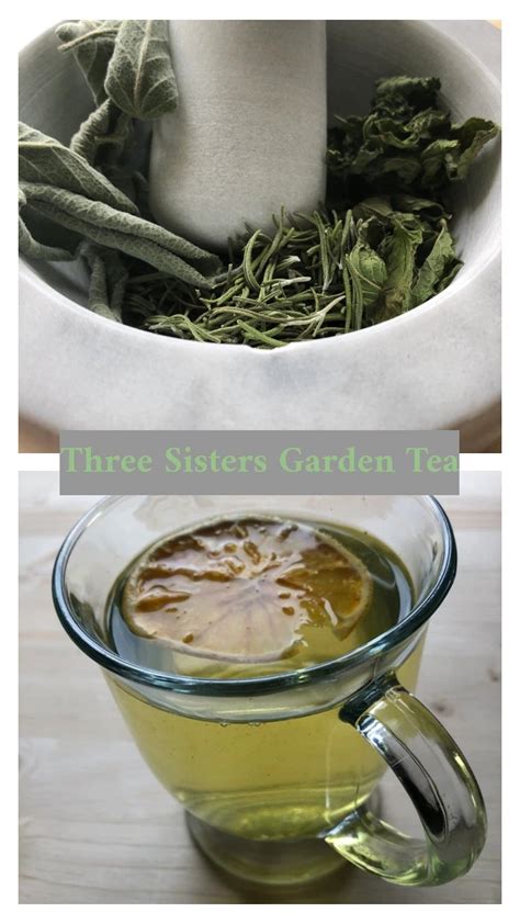 Three Sisters Garden Tea Artofit