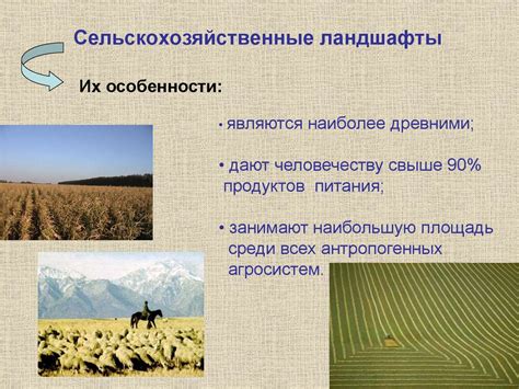 Сельское хозяйство мира - online presentation