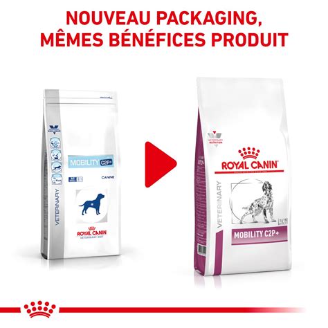 Croquettes Pour Chiens Soutien Articulaire Boutique Royal Canin