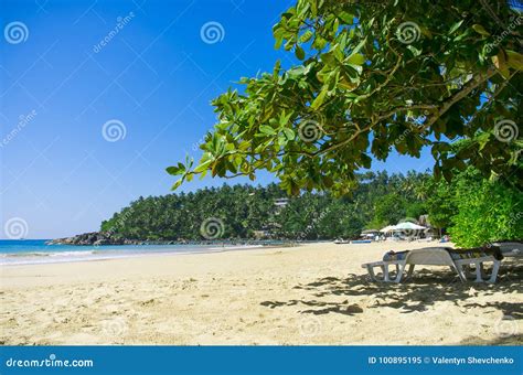 Playa Tropical Mirissa En Sri Imagen de archivo Imagen de escénico