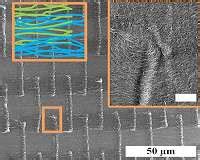 Wonder Material Novel Nanotube Structure Strengthens Thin Films For