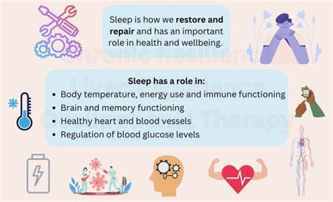 How Can Occupational Therapists Support With Sleeping Transform Life