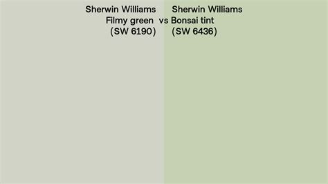 Sherwin Williams Filmy Green Vs Bonsai Tint Side By Side Comparison