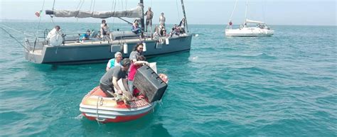 Tre Tartarughe Marine Caretta Caretta Liberate Nel Mare Di Bisceglie