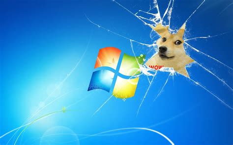 Download Windows Cracked Screen Doge Meme Wallpaper | Wallpapers.com