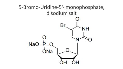 5 Bromo Uridine 5 Monophosphate Disodium Salt Akonscientific