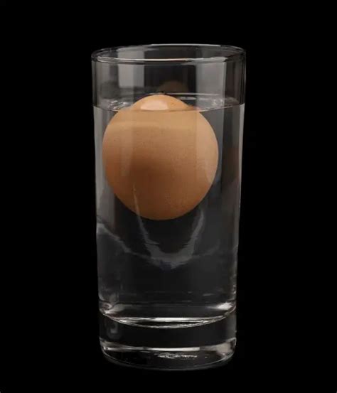 Egg Float Test Myths Procedure Chart Hypothesis Vs Reality In 2023