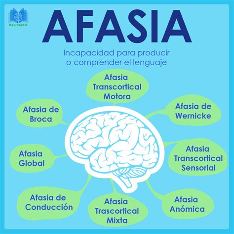 Afasia Definición Tipos Y Características Neuroclass