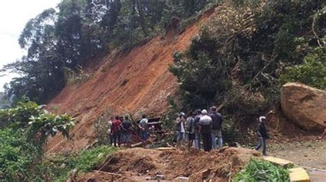 Pohon Tumbang Timpa Truk Di Area Longsor Sitinjau Lauik Arus Lalu