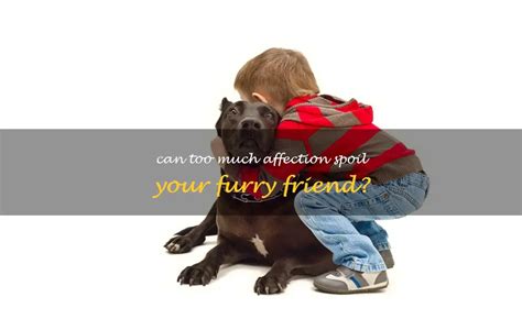 Can Too Much Affection Spoil Your Furry Friend Petshun