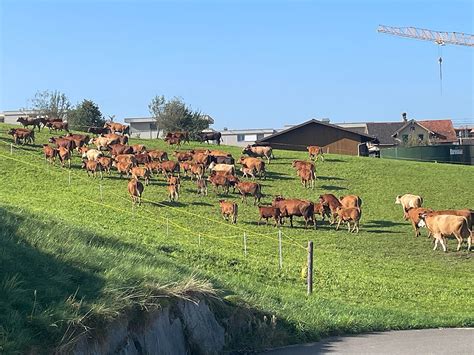 Unerwartetes Treffen Mit Einem Kasachischen Unternehmer Im Tell In