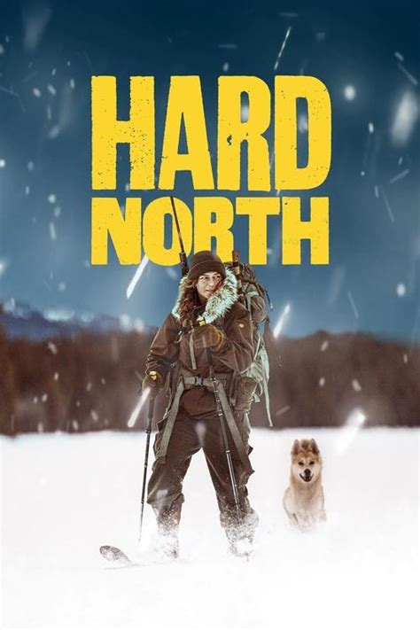 Series Recomendadas Si Te Gust Hard North Palomitacas