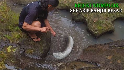 DAPAT SIDAT MONSTER SEHABIS SUNGAI BANJIR BESAR MENERJANG YouTube