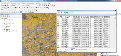 5 Trucos De ArcGIS Para Tablas De Atributos GEASIG