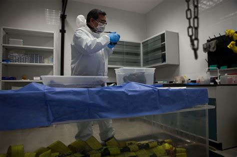 Mexican Doctors Baths For Corpses Reinvigorate Cold Cases The New