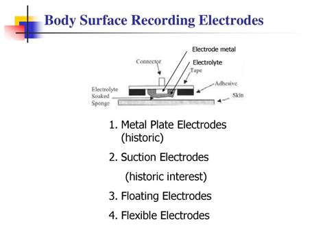 Electrode Theory Basic Electrode Electrodes For Ecg Ppt Download