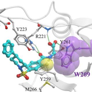 Co Crystal Structure Of USP5 ZnF UBD In Complex With 64 PDB 7MS7