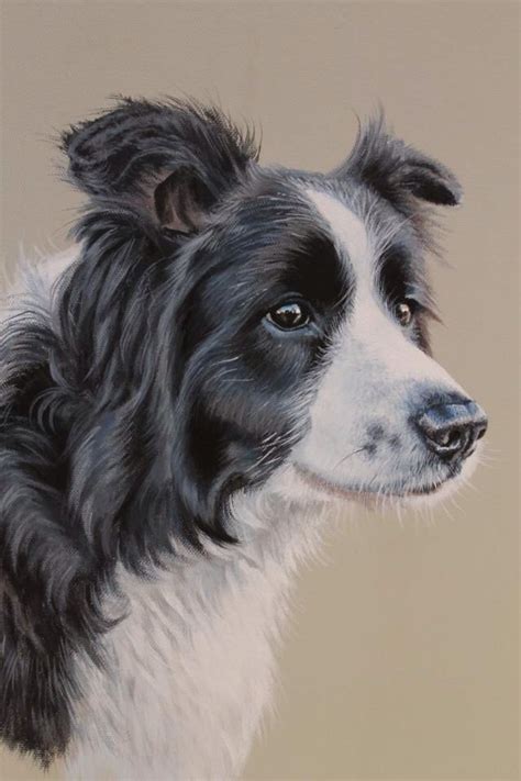 236 Best Images About Border Collie Artwork On Pinterest Sheep Dogs