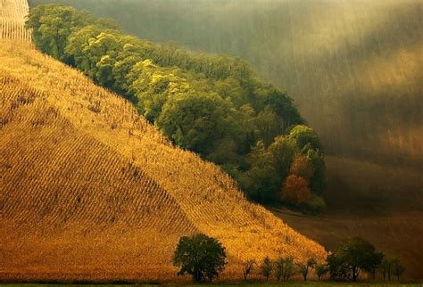 Потрясающие зеленые поля » BigPicture.ru
