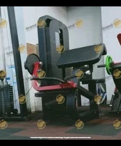 Bicep Tricep Machine, Model Name/Number: Gsf-bcptcp at Rs 45000.00 in ...