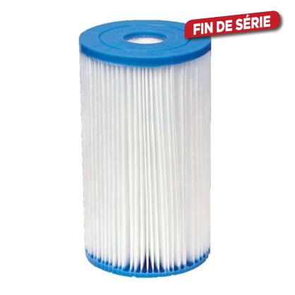 Cartouche De Filtration Intex