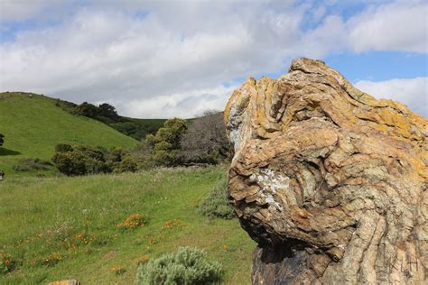 Bay Area Outdoor Family Adventures | Coyote Hills Regional Park