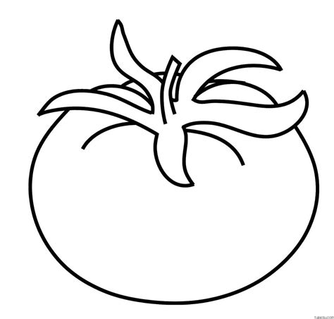 Watermelon Fruit Coloring Page Turkau