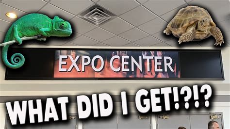 WHAT DID I GET NH REPTILE EXPO 2019 YouTube