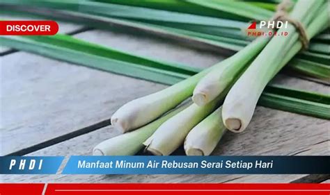 Manfaat Minum Air Rebusan Serai Setiap Hari