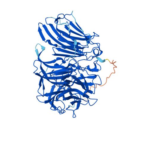 RCSB PDB - AF_AFP10594F1: Computed structure model of Invertase 1