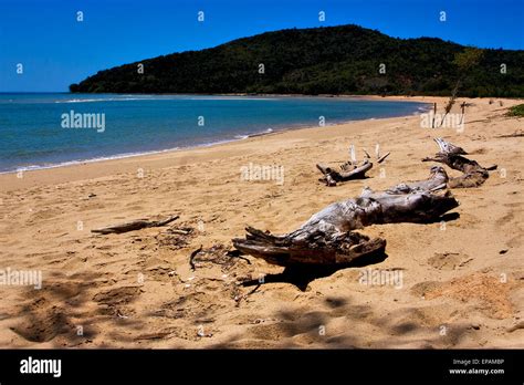 Beach And Sand In Nosy Be Madagascar Lowtide And Tree Stock Photo Alamy